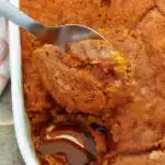 Golden brown pumpkin cobbler with crumbly topping in a white baking dish, served with a dollop of whipped cream, showcasing the creamy pumpkin filling and crispy spiced topping.