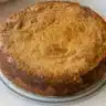 Golden brown pumpkin gooey butter cake cut into squares showing the creamy, gooey pumpkin filling on top of a tender cake crust base